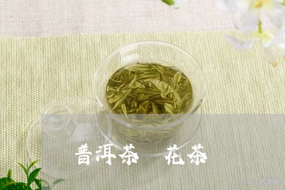 普洱茶 花茶/2023042813290